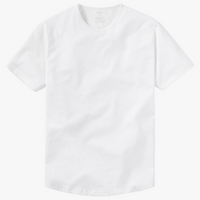 Curve Crew - Final Sale